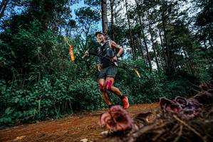 BIB: 
                            <button type="button" onclick="openModal(25878272)" class="btn btn-primary btn-sm float-right btn-popup" data-toggle="modal" data-target=".modal-high-quality">
                        <i class="fas fa-shopping-cart"></i> Add to Cart
                    </button>
                                            <button type="button" onclick="isThisMe(25878272, true)" class="btn btn-success btn-sm float-right btn-popup btn-isme hidden" data-toggle="tooltip" data-placement="bottom" title="นี่คือรูปของคุณใช่ไหม คลิกที่นี่เพื่อเอาเข้าอัลบั้ม">
                        <i class="fas fa-plus"></i> Add to album
                    </button>
                    <button type="button" onclick="isThisMe(25878272, false)" class="btn btn-warning btn-sm float-right btn-popup btn-isnotme hidden">
                        <i class="fas fa-ban"></i> Remove from album
                    </button>