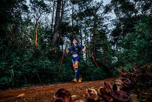 BIB: 
                            <button type="button" onclick="openModal(25882270)" class="btn btn-primary btn-sm float-right btn-popup" data-toggle="modal" data-target=".modal-high-quality">
                        <i class="fas fa-shopping-cart"></i> Add to Cart
                    </button>
                                            <button type="button" onclick="isThisMe(25882270, true)" class="btn btn-success btn-sm float-right btn-popup btn-isme hidden" data-toggle="tooltip" data-placement="bottom" title="นี่คือรูปของคุณใช่ไหม คลิกที่นี่เพื่อเอาเข้าอัลบั้ม">
                        <i class="fas fa-plus"></i> Add to album
                    </button>
                    <button type="button" onclick="isThisMe(25882270, false)" class="btn btn-warning btn-sm float-right btn-popup btn-isnotme hidden">
                        <i class="fas fa-ban"></i> Remove from album
                    </button>