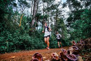 BIB: 
                            <button type="button" onclick="openModal(25880494)" class="btn btn-primary btn-sm float-right btn-popup" data-toggle="modal" data-target=".modal-high-quality">
                        <i class="fas fa-shopping-cart"></i> Add to Cart
                    </button>
                                            <button type="button" onclick="isThisMe(25880494, true)" class="btn btn-success btn-sm float-right btn-popup btn-isme hidden" data-toggle="tooltip" data-placement="bottom" title="นี่คือรูปของคุณใช่ไหม คลิกที่นี่เพื่อเอาเข้าอัลบั้ม">
                        <i class="fas fa-plus"></i> Add to album
                    </button>
                    <button type="button" onclick="isThisMe(25880494, false)" class="btn btn-warning btn-sm float-right btn-popup btn-isnotme hidden">
                        <i class="fas fa-ban"></i> Remove from album
                    </button>