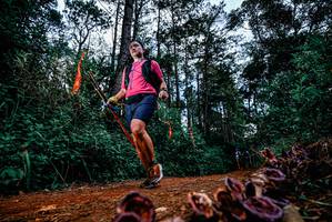 BIB: 
                            <button type="button" onclick="openModal(25879277)" class="btn btn-primary btn-sm float-right btn-popup" data-toggle="modal" data-target=".modal-high-quality">
                        <i class="fas fa-shopping-cart"></i> Add to Cart
                    </button>
                                            <button type="button" onclick="isThisMe(25879277, true)" class="btn btn-success btn-sm float-right btn-popup btn-isme hidden" data-toggle="tooltip" data-placement="bottom" title="นี่คือรูปของคุณใช่ไหม คลิกที่นี่เพื่อเอาเข้าอัลบั้ม">
                        <i class="fas fa-plus"></i> Add to album
                    </button>
                    <button type="button" onclick="isThisMe(25879277, false)" class="btn btn-warning btn-sm float-right btn-popup btn-isnotme hidden">
                        <i class="fas fa-ban"></i> Remove from album
                    </button>