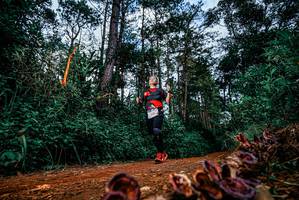 BIB: 
                            <button type="button" onclick="openModal(25881561)" class="btn btn-primary btn-sm float-right btn-popup" data-toggle="modal" data-target=".modal-high-quality">
                        <i class="fas fa-shopping-cart"></i> Add to Cart
                    </button>
                                            <button type="button" onclick="isThisMe(25881561, true)" class="btn btn-success btn-sm float-right btn-popup btn-isme hidden" data-toggle="tooltip" data-placement="bottom" title="นี่คือรูปของคุณใช่ไหม คลิกที่นี่เพื่อเอาเข้าอัลบั้ม">
                        <i class="fas fa-plus"></i> Add to album
                    </button>
                    <button type="button" onclick="isThisMe(25881561, false)" class="btn btn-warning btn-sm float-right btn-popup btn-isnotme hidden">
                        <i class="fas fa-ban"></i> Remove from album
                    </button>