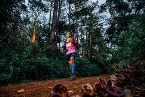 BIB: 
                            <button type="button" onclick="openModal(25881998)" class="btn btn-primary btn-sm float-right btn-popup" data-toggle="modal" data-target=".modal-high-quality">
                        <i class="fas fa-shopping-cart"></i> Add to Cart
                    </button>
                                            <button type="button" onclick="isThisMe(25881998, true)" class="btn btn-success btn-sm float-right btn-popup btn-isme hidden" data-toggle="tooltip" data-placement="bottom" title="นี่คือรูปของคุณใช่ไหม คลิกที่นี่เพื่อเอาเข้าอัลบั้ม">
                        <i class="fas fa-plus"></i> Add to album
                    </button>
                    <button type="button" onclick="isThisMe(25881998, false)" class="btn btn-warning btn-sm float-right btn-popup btn-isnotme hidden">
                        <i class="fas fa-ban"></i> Remove from album
                    </button>