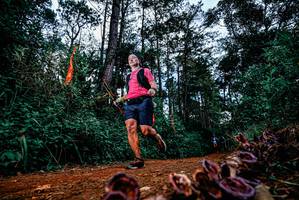 BIB: 
                            <button type="button" onclick="openModal(25879270)" class="btn btn-primary btn-sm float-right btn-popup" data-toggle="modal" data-target=".modal-high-quality">
                        <i class="fas fa-shopping-cart"></i> Add to Cart
                    </button>
                                            <button type="button" onclick="isThisMe(25879270, true)" class="btn btn-success btn-sm float-right btn-popup btn-isme hidden" data-toggle="tooltip" data-placement="bottom" title="นี่คือรูปของคุณใช่ไหม คลิกที่นี่เพื่อเอาเข้าอัลบั้ม">
                        <i class="fas fa-plus"></i> Add to album
                    </button>
                    <button type="button" onclick="isThisMe(25879270, false)" class="btn btn-warning btn-sm float-right btn-popup btn-isnotme hidden">
                        <i class="fas fa-ban"></i> Remove from album
                    </button>