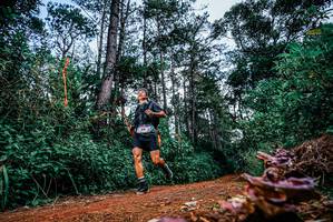 BIB: 
                            <button type="button" onclick="openModal(25878672)" class="btn btn-primary btn-sm float-right btn-popup" data-toggle="modal" data-target=".modal-high-quality">
                        <i class="fas fa-shopping-cart"></i> Add to Cart
                    </button>
                                            <button type="button" onclick="isThisMe(25878672, true)" class="btn btn-success btn-sm float-right btn-popup btn-isme hidden" data-toggle="tooltip" data-placement="bottom" title="นี่คือรูปของคุณใช่ไหม คลิกที่นี่เพื่อเอาเข้าอัลบั้ม">
                        <i class="fas fa-plus"></i> Add to album
                    </button>
                    <button type="button" onclick="isThisMe(25878672, false)" class="btn btn-warning btn-sm float-right btn-popup btn-isnotme hidden">
                        <i class="fas fa-ban"></i> Remove from album
                    </button>