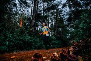 BIB: 
                            <button type="button" onclick="openModal(25881950)" class="btn btn-primary btn-sm float-right btn-popup" data-toggle="modal" data-target=".modal-high-quality">
                        <i class="fas fa-shopping-cart"></i> Add to Cart
                    </button>
                                            <button type="button" onclick="isThisMe(25881950, true)" class="btn btn-success btn-sm float-right btn-popup btn-isme hidden" data-toggle="tooltip" data-placement="bottom" title="นี่คือรูปของคุณใช่ไหม คลิกที่นี่เพื่อเอาเข้าอัลบั้ม">
                        <i class="fas fa-plus"></i> Add to album
                    </button>
                    <button type="button" onclick="isThisMe(25881950, false)" class="btn btn-warning btn-sm float-right btn-popup btn-isnotme hidden">
                        <i class="fas fa-ban"></i> Remove from album
                    </button>