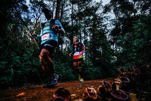 BIB: 
                            <button type="button" onclick="openModal(25882132)" class="btn btn-primary btn-sm float-right btn-popup" data-toggle="modal" data-target=".modal-high-quality">
                        <i class="fas fa-shopping-cart"></i> Add to Cart
                    </button>
                                            <button type="button" onclick="isThisMe(25882132, true)" class="btn btn-success btn-sm float-right btn-popup btn-isme hidden" data-toggle="tooltip" data-placement="bottom" title="นี่คือรูปของคุณใช่ไหม คลิกที่นี่เพื่อเอาเข้าอัลบั้ม">
                        <i class="fas fa-plus"></i> Add to album
                    </button>
                    <button type="button" onclick="isThisMe(25882132, false)" class="btn btn-warning btn-sm float-right btn-popup btn-isnotme hidden">
                        <i class="fas fa-ban"></i> Remove from album
                    </button>