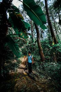 BIB: 
                            <button type="button" onclick="openModal(25877878)" class="btn btn-primary btn-sm float-right btn-popup" data-toggle="modal" data-target=".modal-high-quality">
                        <i class="fas fa-shopping-cart"></i> Add to Cart
                    </button>
                                            <button type="button" onclick="isThisMe(25877878, true)" class="btn btn-success btn-sm float-right btn-popup btn-isme hidden" data-toggle="tooltip" data-placement="bottom" title="นี่คือรูปของคุณใช่ไหม คลิกที่นี่เพื่อเอาเข้าอัลบั้ม">
                        <i class="fas fa-plus"></i> Add to album
                    </button>
                    <button type="button" onclick="isThisMe(25877878, false)" class="btn btn-warning btn-sm float-right btn-popup btn-isnotme hidden">
                        <i class="fas fa-ban"></i> Remove from album
                    </button>