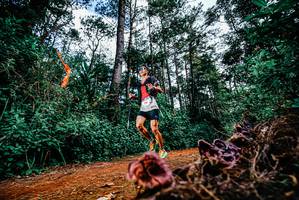 BIB: 
                            <button type="button" onclick="openModal(25878013)" class="btn btn-primary btn-sm float-right btn-popup" data-toggle="modal" data-target=".modal-high-quality">
                        <i class="fas fa-shopping-cart"></i> Add to Cart
                    </button>
                                            <button type="button" onclick="isThisMe(25878013, true)" class="btn btn-success btn-sm float-right btn-popup btn-isme hidden" data-toggle="tooltip" data-placement="bottom" title="นี่คือรูปของคุณใช่ไหม คลิกที่นี่เพื่อเอาเข้าอัลบั้ม">
                        <i class="fas fa-plus"></i> Add to album
                    </button>
                    <button type="button" onclick="isThisMe(25878013, false)" class="btn btn-warning btn-sm float-right btn-popup btn-isnotme hidden">
                        <i class="fas fa-ban"></i> Remove from album
                    </button>