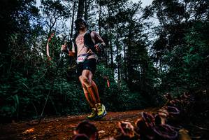 BIB: 
                            <button type="button" onclick="openModal(25882175)" class="btn btn-primary btn-sm float-right btn-popup" data-toggle="modal" data-target=".modal-high-quality">
                        <i class="fas fa-shopping-cart"></i> Add to Cart
                    </button>
                                            <button type="button" onclick="isThisMe(25882175, true)" class="btn btn-success btn-sm float-right btn-popup btn-isme hidden" data-toggle="tooltip" data-placement="bottom" title="นี่คือรูปของคุณใช่ไหม คลิกที่นี่เพื่อเอาเข้าอัลบั้ม">
                        <i class="fas fa-plus"></i> Add to album
                    </button>
                    <button type="button" onclick="isThisMe(25882175, false)" class="btn btn-warning btn-sm float-right btn-popup btn-isnotme hidden">
                        <i class="fas fa-ban"></i> Remove from album
                    </button>