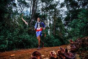 BIB: 
                            <button type="button" onclick="openModal(25881699)" class="btn btn-primary btn-sm float-right btn-popup" data-toggle="modal" data-target=".modal-high-quality">
                        <i class="fas fa-shopping-cart"></i> Add to Cart
                    </button>
                                            <button type="button" onclick="isThisMe(25881699, true)" class="btn btn-success btn-sm float-right btn-popup btn-isme hidden" data-toggle="tooltip" data-placement="bottom" title="นี่คือรูปของคุณใช่ไหม คลิกที่นี่เพื่อเอาเข้าอัลบั้ม">
                        <i class="fas fa-plus"></i> Add to album
                    </button>
                    <button type="button" onclick="isThisMe(25881699, false)" class="btn btn-warning btn-sm float-right btn-popup btn-isnotme hidden">
                        <i class="fas fa-ban"></i> Remove from album
                    </button>