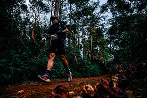 BIB: 
                            <button type="button" onclick="openModal(25882062)" class="btn btn-primary btn-sm float-right btn-popup" data-toggle="modal" data-target=".modal-high-quality">
                        <i class="fas fa-shopping-cart"></i> Add to Cart
                    </button>
                                            <button type="button" onclick="isThisMe(25882062, true)" class="btn btn-success btn-sm float-right btn-popup btn-isme hidden" data-toggle="tooltip" data-placement="bottom" title="นี่คือรูปของคุณใช่ไหม คลิกที่นี่เพื่อเอาเข้าอัลบั้ม">
                        <i class="fas fa-plus"></i> Add to album
                    </button>
                    <button type="button" onclick="isThisMe(25882062, false)" class="btn btn-warning btn-sm float-right btn-popup btn-isnotme hidden">
                        <i class="fas fa-ban"></i> Remove from album
                    </button>