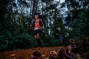 BIB: 
                            <button type="button" onclick="openModal(25880680)" class="btn btn-primary btn-sm float-right btn-popup" data-toggle="modal" data-target=".modal-high-quality">
                        <i class="fas fa-shopping-cart"></i> Add to Cart
                    </button>
                                            <button type="button" onclick="isThisMe(25880680, true)" class="btn btn-success btn-sm float-right btn-popup btn-isme hidden" data-toggle="tooltip" data-placement="bottom" title="นี่คือรูปของคุณใช่ไหม คลิกที่นี่เพื่อเอาเข้าอัลบั้ม">
                        <i class="fas fa-plus"></i> Add to album
                    </button>
                    <button type="button" onclick="isThisMe(25880680, false)" class="btn btn-warning btn-sm float-right btn-popup btn-isnotme hidden">
                        <i class="fas fa-ban"></i> Remove from album
                    </button>