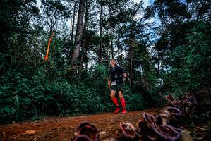 BIB: 
                            <button type="button" onclick="openModal(25880787)" class="btn btn-primary btn-sm float-right btn-popup" data-toggle="modal" data-target=".modal-high-quality">
                        <i class="fas fa-shopping-cart"></i> Add to Cart
                    </button>
                                            <button type="button" onclick="isThisMe(25880787, true)" class="btn btn-success btn-sm float-right btn-popup btn-isme hidden" data-toggle="tooltip" data-placement="bottom" title="นี่คือรูปของคุณใช่ไหม คลิกที่นี่เพื่อเอาเข้าอัลบั้ม">
                        <i class="fas fa-plus"></i> Add to album
                    </button>
                    <button type="button" onclick="isThisMe(25880787, false)" class="btn btn-warning btn-sm float-right btn-popup btn-isnotme hidden">
                        <i class="fas fa-ban"></i> Remove from album
                    </button>