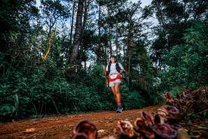 BIB: 
                            <button type="button" onclick="openModal(25881664)" class="btn btn-primary btn-sm float-right btn-popup" data-toggle="modal" data-target=".modal-high-quality">
                        <i class="fas fa-shopping-cart"></i> Add to Cart
                    </button>
                                            <button type="button" onclick="isThisMe(25881664, true)" class="btn btn-success btn-sm float-right btn-popup btn-isme hidden" data-toggle="tooltip" data-placement="bottom" title="นี่คือรูปของคุณใช่ไหม คลิกที่นี่เพื่อเอาเข้าอัลบั้ม">
                        <i class="fas fa-plus"></i> Add to album
                    </button>
                    <button type="button" onclick="isThisMe(25881664, false)" class="btn btn-warning btn-sm float-right btn-popup btn-isnotme hidden">
                        <i class="fas fa-ban"></i> Remove from album
                    </button>