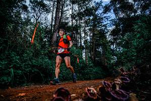 BIB: 
                            <button type="button" onclick="openModal(25880773)" class="btn btn-primary btn-sm float-right btn-popup" data-toggle="modal" data-target=".modal-high-quality">
                        <i class="fas fa-shopping-cart"></i> Add to Cart
                    </button>
                                            <button type="button" onclick="isThisMe(25880773, true)" class="btn btn-success btn-sm float-right btn-popup btn-isme hidden" data-toggle="tooltip" data-placement="bottom" title="นี่คือรูปของคุณใช่ไหม คลิกที่นี่เพื่อเอาเข้าอัลบั้ม">
                        <i class="fas fa-plus"></i> Add to album
                    </button>
                    <button type="button" onclick="isThisMe(25880773, false)" class="btn btn-warning btn-sm float-right btn-popup btn-isnotme hidden">
                        <i class="fas fa-ban"></i> Remove from album
                    </button>