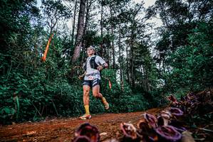 BIB: 
                            <button type="button" onclick="openModal(25879090)" class="btn btn-primary btn-sm float-right btn-popup" data-toggle="modal" data-target=".modal-high-quality">
                        <i class="fas fa-shopping-cart"></i> Add to Cart
                    </button>
                                            <button type="button" onclick="isThisMe(25879090, true)" class="btn btn-success btn-sm float-right btn-popup btn-isme hidden" data-toggle="tooltip" data-placement="bottom" title="นี่คือรูปของคุณใช่ไหม คลิกที่นี่เพื่อเอาเข้าอัลบั้ม">
                        <i class="fas fa-plus"></i> Add to album
                    </button>
                    <button type="button" onclick="isThisMe(25879090, false)" class="btn btn-warning btn-sm float-right btn-popup btn-isnotme hidden">
                        <i class="fas fa-ban"></i> Remove from album
                    </button>