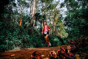 BIB: 
                            <button type="button" onclick="openModal(25881805)" class="btn btn-primary btn-sm float-right btn-popup" data-toggle="modal" data-target=".modal-high-quality">
                        <i class="fas fa-shopping-cart"></i> Add to Cart
                    </button>
                                            <button type="button" onclick="isThisMe(25881805, true)" class="btn btn-success btn-sm float-right btn-popup btn-isme hidden" data-toggle="tooltip" data-placement="bottom" title="นี่คือรูปของคุณใช่ไหม คลิกที่นี่เพื่อเอาเข้าอัลบั้ม">
                        <i class="fas fa-plus"></i> Add to album
                    </button>
                    <button type="button" onclick="isThisMe(25881805, false)" class="btn btn-warning btn-sm float-right btn-popup btn-isnotme hidden">
                        <i class="fas fa-ban"></i> Remove from album
                    </button>