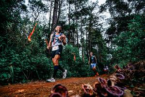 BIB: 
                            <button type="button" onclick="openModal(25879886)" class="btn btn-primary btn-sm float-right btn-popup" data-toggle="modal" data-target=".modal-high-quality">
                        <i class="fas fa-shopping-cart"></i> Add to Cart
                    </button>
                                            <button type="button" onclick="isThisMe(25879886, true)" class="btn btn-success btn-sm float-right btn-popup btn-isme hidden" data-toggle="tooltip" data-placement="bottom" title="นี่คือรูปของคุณใช่ไหม คลิกที่นี่เพื่อเอาเข้าอัลบั้ม">
                        <i class="fas fa-plus"></i> Add to album
                    </button>
                    <button type="button" onclick="isThisMe(25879886, false)" class="btn btn-warning btn-sm float-right btn-popup btn-isnotme hidden">
                        <i class="fas fa-ban"></i> Remove from album
                    </button>