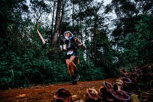 BIB: 
                            <button type="button" onclick="openModal(25879838)" class="btn btn-primary btn-sm float-right btn-popup" data-toggle="modal" data-target=".modal-high-quality">
                        <i class="fas fa-shopping-cart"></i> Add to Cart
                    </button>
                                            <button type="button" onclick="isThisMe(25879838, true)" class="btn btn-success btn-sm float-right btn-popup btn-isme hidden" data-toggle="tooltip" data-placement="bottom" title="นี่คือรูปของคุณใช่ไหม คลิกที่นี่เพื่อเอาเข้าอัลบั้ม">
                        <i class="fas fa-plus"></i> Add to album
                    </button>
                    <button type="button" onclick="isThisMe(25879838, false)" class="btn btn-warning btn-sm float-right btn-popup btn-isnotme hidden">
                        <i class="fas fa-ban"></i> Remove from album
                    </button>