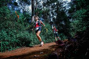 BIB: 
                            <button type="button" onclick="openModal(25878341)" class="btn btn-primary btn-sm float-right btn-popup" data-toggle="modal" data-target=".modal-high-quality">
                        <i class="fas fa-shopping-cart"></i> Add to Cart
                    </button>
                                            <button type="button" onclick="isThisMe(25878341, true)" class="btn btn-success btn-sm float-right btn-popup btn-isme hidden" data-toggle="tooltip" data-placement="bottom" title="นี่คือรูปของคุณใช่ไหม คลิกที่นี่เพื่อเอาเข้าอัลบั้ม">
                        <i class="fas fa-plus"></i> Add to album
                    </button>
                    <button type="button" onclick="isThisMe(25878341, false)" class="btn btn-warning btn-sm float-right btn-popup btn-isnotme hidden">
                        <i class="fas fa-ban"></i> Remove from album
                    </button>