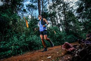 BIB: 
                            <button type="button" onclick="openModal(25878220)" class="btn btn-primary btn-sm float-right btn-popup" data-toggle="modal" data-target=".modal-high-quality">
                        <i class="fas fa-shopping-cart"></i> Add to Cart
                    </button>
                                            <button type="button" onclick="isThisMe(25878220, true)" class="btn btn-success btn-sm float-right btn-popup btn-isme hidden" data-toggle="tooltip" data-placement="bottom" title="นี่คือรูปของคุณใช่ไหม คลิกที่นี่เพื่อเอาเข้าอัลบั้ม">
                        <i class="fas fa-plus"></i> Add to album
                    </button>
                    <button type="button" onclick="isThisMe(25878220, false)" class="btn btn-warning btn-sm float-right btn-popup btn-isnotme hidden">
                        <i class="fas fa-ban"></i> Remove from album
                    </button>