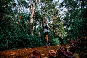 BIB: 
                            <button type="button" onclick="openModal(25880533)" class="btn btn-primary btn-sm float-right btn-popup" data-toggle="modal" data-target=".modal-high-quality">
                        <i class="fas fa-shopping-cart"></i> Add to Cart
                    </button>
                                            <button type="button" onclick="isThisMe(25880533, true)" class="btn btn-success btn-sm float-right btn-popup btn-isme hidden" data-toggle="tooltip" data-placement="bottom" title="นี่คือรูปของคุณใช่ไหม คลิกที่นี่เพื่อเอาเข้าอัลบั้ม">
                        <i class="fas fa-plus"></i> Add to album
                    </button>
                    <button type="button" onclick="isThisMe(25880533, false)" class="btn btn-warning btn-sm float-right btn-popup btn-isnotme hidden">
                        <i class="fas fa-ban"></i> Remove from album
                    </button>