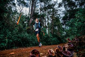 BIB: 
                            <button type="button" onclick="openModal(25881502)" class="btn btn-primary btn-sm float-right btn-popup" data-toggle="modal" data-target=".modal-high-quality">
                        <i class="fas fa-shopping-cart"></i> Add to Cart
                    </button>
                                            <button type="button" onclick="isThisMe(25881502, true)" class="btn btn-success btn-sm float-right btn-popup btn-isme hidden" data-toggle="tooltip" data-placement="bottom" title="นี่คือรูปของคุณใช่ไหม คลิกที่นี่เพื่อเอาเข้าอัลบั้ม">
                        <i class="fas fa-plus"></i> Add to album
                    </button>
                    <button type="button" onclick="isThisMe(25881502, false)" class="btn btn-warning btn-sm float-right btn-popup btn-isnotme hidden">
                        <i class="fas fa-ban"></i> Remove from album
                    </button>