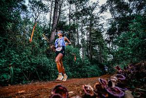 BIB: 
                            <button type="button" onclick="openModal(25879074)" class="btn btn-primary btn-sm float-right btn-popup" data-toggle="modal" data-target=".modal-high-quality">
                        <i class="fas fa-shopping-cart"></i> Add to Cart
                    </button>
                                            <button type="button" onclick="isThisMe(25879074, true)" class="btn btn-success btn-sm float-right btn-popup btn-isme hidden" data-toggle="tooltip" data-placement="bottom" title="นี่คือรูปของคุณใช่ไหม คลิกที่นี่เพื่อเอาเข้าอัลบั้ม">
                        <i class="fas fa-plus"></i> Add to album
                    </button>
                    <button type="button" onclick="isThisMe(25879074, false)" class="btn btn-warning btn-sm float-right btn-popup btn-isnotme hidden">
                        <i class="fas fa-ban"></i> Remove from album
                    </button>