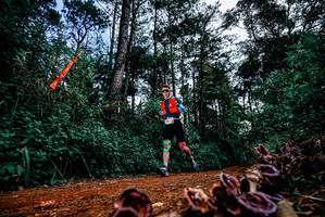 BIB: 
                            <button type="button" onclick="openModal(25879024)" class="btn btn-primary btn-sm float-right btn-popup" data-toggle="modal" data-target=".modal-high-quality">
                        <i class="fas fa-shopping-cart"></i> Add to Cart
                    </button>
                                            <button type="button" onclick="isThisMe(25879024, true)" class="btn btn-success btn-sm float-right btn-popup btn-isme hidden" data-toggle="tooltip" data-placement="bottom" title="นี่คือรูปของคุณใช่ไหม คลิกที่นี่เพื่อเอาเข้าอัลบั้ม">
                        <i class="fas fa-plus"></i> Add to album
                    </button>
                    <button type="button" onclick="isThisMe(25879024, false)" class="btn btn-warning btn-sm float-right btn-popup btn-isnotme hidden">
                        <i class="fas fa-ban"></i> Remove from album
                    </button>