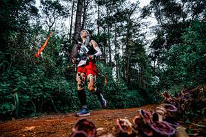 BIB: 
                            <button type="button" onclick="openModal(25879945)" class="btn btn-primary btn-sm float-right btn-popup" data-toggle="modal" data-target=".modal-high-quality">
                        <i class="fas fa-shopping-cart"></i> Add to Cart
                    </button>
                                            <button type="button" onclick="isThisMe(25879945, true)" class="btn btn-success btn-sm float-right btn-popup btn-isme hidden" data-toggle="tooltip" data-placement="bottom" title="นี่คือรูปของคุณใช่ไหม คลิกที่นี่เพื่อเอาเข้าอัลบั้ม">
                        <i class="fas fa-plus"></i> Add to album
                    </button>
                    <button type="button" onclick="isThisMe(25879945, false)" class="btn btn-warning btn-sm float-right btn-popup btn-isnotme hidden">
                        <i class="fas fa-ban"></i> Remove from album
                    </button>