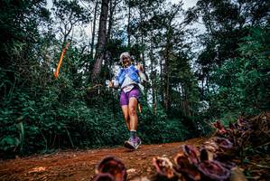 BIB: 
                            <button type="button" onclick="openModal(25881413)" class="btn btn-primary btn-sm float-right btn-popup" data-toggle="modal" data-target=".modal-high-quality">
                        <i class="fas fa-shopping-cart"></i> Add to Cart
                    </button>
                                            <button type="button" onclick="isThisMe(25881413, true)" class="btn btn-success btn-sm float-right btn-popup btn-isme hidden" data-toggle="tooltip" data-placement="bottom" title="นี่คือรูปของคุณใช่ไหม คลิกที่นี่เพื่อเอาเข้าอัลบั้ม">
                        <i class="fas fa-plus"></i> Add to album
                    </button>
                    <button type="button" onclick="isThisMe(25881413, false)" class="btn btn-warning btn-sm float-right btn-popup btn-isnotme hidden">
                        <i class="fas fa-ban"></i> Remove from album
                    </button>