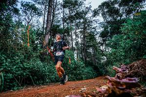 BIB: 
                            <button type="button" onclick="openModal(25878674)" class="btn btn-primary btn-sm float-right btn-popup" data-toggle="modal" data-target=".modal-high-quality">
                        <i class="fas fa-shopping-cart"></i> Add to Cart
                    </button>
                                            <button type="button" onclick="isThisMe(25878674, true)" class="btn btn-success btn-sm float-right btn-popup btn-isme hidden" data-toggle="tooltip" data-placement="bottom" title="นี่คือรูปของคุณใช่ไหม คลิกที่นี่เพื่อเอาเข้าอัลบั้ม">
                        <i class="fas fa-plus"></i> Add to album
                    </button>
                    <button type="button" onclick="isThisMe(25878674, false)" class="btn btn-warning btn-sm float-right btn-popup btn-isnotme hidden">
                        <i class="fas fa-ban"></i> Remove from album
                    </button>