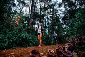 BIB: 
                            <button type="button" onclick="openModal(25879283)" class="btn btn-primary btn-sm float-right btn-popup" data-toggle="modal" data-target=".modal-high-quality">
                        <i class="fas fa-shopping-cart"></i> Add to Cart
                    </button>
                                            <button type="button" onclick="isThisMe(25879283, true)" class="btn btn-success btn-sm float-right btn-popup btn-isme hidden" data-toggle="tooltip" data-placement="bottom" title="นี่คือรูปของคุณใช่ไหม คลิกที่นี่เพื่อเอาเข้าอัลบั้ม">
                        <i class="fas fa-plus"></i> Add to album
                    </button>
                    <button type="button" onclick="isThisMe(25879283, false)" class="btn btn-warning btn-sm float-right btn-popup btn-isnotme hidden">
                        <i class="fas fa-ban"></i> Remove from album
                    </button>