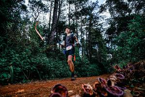 BIB: 
                            <button type="button" onclick="openModal(25879321)" class="btn btn-primary btn-sm float-right btn-popup" data-toggle="modal" data-target=".modal-high-quality">
                        <i class="fas fa-shopping-cart"></i> Add to Cart
                    </button>
                                            <button type="button" onclick="isThisMe(25879321, true)" class="btn btn-success btn-sm float-right btn-popup btn-isme hidden" data-toggle="tooltip" data-placement="bottom" title="นี่คือรูปของคุณใช่ไหม คลิกที่นี่เพื่อเอาเข้าอัลบั้ม">
                        <i class="fas fa-plus"></i> Add to album
                    </button>
                    <button type="button" onclick="isThisMe(25879321, false)" class="btn btn-warning btn-sm float-right btn-popup btn-isnotme hidden">
                        <i class="fas fa-ban"></i> Remove from album
                    </button>