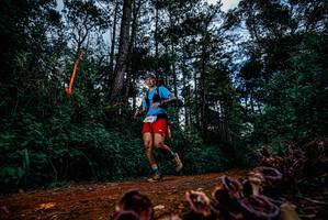 BIB: 
                            <button type="button" onclick="openModal(25880686)" class="btn btn-primary btn-sm float-right btn-popup" data-toggle="modal" data-target=".modal-high-quality">
                        <i class="fas fa-shopping-cart"></i> Add to Cart
                    </button>
                                            <button type="button" onclick="isThisMe(25880686, true)" class="btn btn-success btn-sm float-right btn-popup btn-isme hidden" data-toggle="tooltip" data-placement="bottom" title="นี่คือรูปของคุณใช่ไหม คลิกที่นี่เพื่อเอาเข้าอัลบั้ม">
                        <i class="fas fa-plus"></i> Add to album
                    </button>
                    <button type="button" onclick="isThisMe(25880686, false)" class="btn btn-warning btn-sm float-right btn-popup btn-isnotme hidden">
                        <i class="fas fa-ban"></i> Remove from album
                    </button>