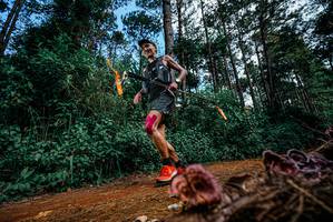 BIB: 
                            <button type="button" onclick="openModal(25878271)" class="btn btn-primary btn-sm float-right btn-popup" data-toggle="modal" data-target=".modal-high-quality">
                        <i class="fas fa-shopping-cart"></i> Add to Cart
                    </button>
                                            <button type="button" onclick="isThisMe(25878271, true)" class="btn btn-success btn-sm float-right btn-popup btn-isme hidden" data-toggle="tooltip" data-placement="bottom" title="นี่คือรูปของคุณใช่ไหม คลิกที่นี่เพื่อเอาเข้าอัลบั้ม">
                        <i class="fas fa-plus"></i> Add to album
                    </button>
                    <button type="button" onclick="isThisMe(25878271, false)" class="btn btn-warning btn-sm float-right btn-popup btn-isnotme hidden">
                        <i class="fas fa-ban"></i> Remove from album
                    </button>