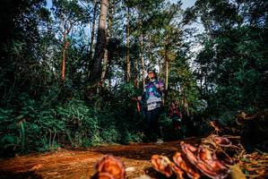 BIB: 
                            <button type="button" onclick="openModal(25882299)" class="btn btn-primary btn-sm float-right btn-popup" data-toggle="modal" data-target=".modal-high-quality">
                        <i class="fas fa-shopping-cart"></i> Add to Cart
                    </button>
                                            <button type="button" onclick="isThisMe(25882299, true)" class="btn btn-success btn-sm float-right btn-popup btn-isme hidden" data-toggle="tooltip" data-placement="bottom" title="นี่คือรูปของคุณใช่ไหม คลิกที่นี่เพื่อเอาเข้าอัลบั้ม">
                        <i class="fas fa-plus"></i> Add to album
                    </button>
                    <button type="button" onclick="isThisMe(25882299, false)" class="btn btn-warning btn-sm float-right btn-popup btn-isnotme hidden">
                        <i class="fas fa-ban"></i> Remove from album
                    </button>