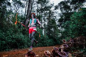 BIB: 
                            <button type="button" onclick="openModal(25878890)" class="btn btn-primary btn-sm float-right btn-popup" data-toggle="modal" data-target=".modal-high-quality">
                        <i class="fas fa-shopping-cart"></i> Add to Cart
                    </button>
                                            <button type="button" onclick="isThisMe(25878890, true)" class="btn btn-success btn-sm float-right btn-popup btn-isme hidden" data-toggle="tooltip" data-placement="bottom" title="นี่คือรูปของคุณใช่ไหม คลิกที่นี่เพื่อเอาเข้าอัลบั้ม">
                        <i class="fas fa-plus"></i> Add to album
                    </button>
                    <button type="button" onclick="isThisMe(25878890, false)" class="btn btn-warning btn-sm float-right btn-popup btn-isnotme hidden">
                        <i class="fas fa-ban"></i> Remove from album
                    </button>