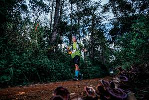 BIB: 
                            <button type="button" onclick="openModal(25879531)" class="btn btn-primary btn-sm float-right btn-popup" data-toggle="modal" data-target=".modal-high-quality">
                        <i class="fas fa-shopping-cart"></i> Add to Cart
                    </button>
                                            <button type="button" onclick="isThisMe(25879531, true)" class="btn btn-success btn-sm float-right btn-popup btn-isme hidden" data-toggle="tooltip" data-placement="bottom" title="นี่คือรูปของคุณใช่ไหม คลิกที่นี่เพื่อเอาเข้าอัลบั้ม">
                        <i class="fas fa-plus"></i> Add to album
                    </button>
                    <button type="button" onclick="isThisMe(25879531, false)" class="btn btn-warning btn-sm float-right btn-popup btn-isnotme hidden">
                        <i class="fas fa-ban"></i> Remove from album
                    </button>