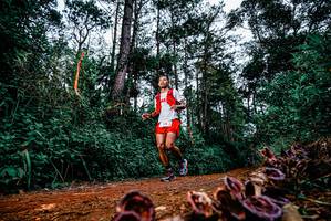 BIB: 
                            <button type="button" onclick="openModal(25879847)" class="btn btn-primary btn-sm float-right btn-popup" data-toggle="modal" data-target=".modal-high-quality">
                        <i class="fas fa-shopping-cart"></i> Add to Cart
                    </button>
                                            <button type="button" onclick="isThisMe(25879847, true)" class="btn btn-success btn-sm float-right btn-popup btn-isme hidden" data-toggle="tooltip" data-placement="bottom" title="นี่คือรูปของคุณใช่ไหม คลิกที่นี่เพื่อเอาเข้าอัลบั้ม">
                        <i class="fas fa-plus"></i> Add to album
                    </button>
                    <button type="button" onclick="isThisMe(25879847, false)" class="btn btn-warning btn-sm float-right btn-popup btn-isnotme hidden">
                        <i class="fas fa-ban"></i> Remove from album
                    </button>