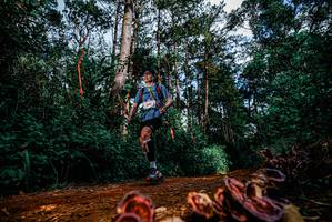 BIB: 
                            <button type="button" onclick="openModal(25880714)" class="btn btn-primary btn-sm float-right btn-popup" data-toggle="modal" data-target=".modal-high-quality">
                        <i class="fas fa-shopping-cart"></i> Add to Cart
                    </button>
                                            <button type="button" onclick="isThisMe(25880714, true)" class="btn btn-success btn-sm float-right btn-popup btn-isme hidden" data-toggle="tooltip" data-placement="bottom" title="นี่คือรูปของคุณใช่ไหม คลิกที่นี่เพื่อเอาเข้าอัลบั้ม">
                        <i class="fas fa-plus"></i> Add to album
                    </button>
                    <button type="button" onclick="isThisMe(25880714, false)" class="btn btn-warning btn-sm float-right btn-popup btn-isnotme hidden">
                        <i class="fas fa-ban"></i> Remove from album
                    </button>