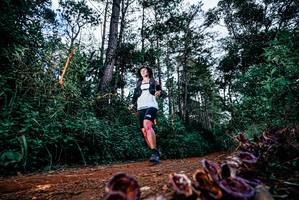 BIB: 
                            <button type="button" onclick="openModal(25880049)" class="btn btn-primary btn-sm float-right btn-popup" data-toggle="modal" data-target=".modal-high-quality">
                        <i class="fas fa-shopping-cart"></i> Add to Cart
                    </button>
                                            <button type="button" onclick="isThisMe(25880049, true)" class="btn btn-success btn-sm float-right btn-popup btn-isme hidden" data-toggle="tooltip" data-placement="bottom" title="นี่คือรูปของคุณใช่ไหม คลิกที่นี่เพื่อเอาเข้าอัลบั้ม">
                        <i class="fas fa-plus"></i> Add to album
                    </button>
                    <button type="button" onclick="isThisMe(25880049, false)" class="btn btn-warning btn-sm float-right btn-popup btn-isnotme hidden">
                        <i class="fas fa-ban"></i> Remove from album
                    </button>