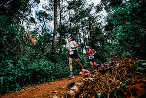 BIB: 
                            <button type="button" onclick="openModal(25877902)" class="btn btn-primary btn-sm float-right btn-popup" data-toggle="modal" data-target=".modal-high-quality">
                        <i class="fas fa-shopping-cart"></i> Add to Cart
                    </button>
                                            <button type="button" onclick="isThisMe(25877902, true)" class="btn btn-success btn-sm float-right btn-popup btn-isme hidden" data-toggle="tooltip" data-placement="bottom" title="นี่คือรูปของคุณใช่ไหม คลิกที่นี่เพื่อเอาเข้าอัลบั้ม">
                        <i class="fas fa-plus"></i> Add to album
                    </button>
                    <button type="button" onclick="isThisMe(25877902, false)" class="btn btn-warning btn-sm float-right btn-popup btn-isnotme hidden">
                        <i class="fas fa-ban"></i> Remove from album
                    </button>