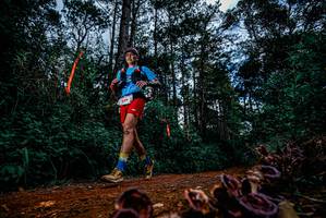 BIB: 
                            <button type="button" onclick="openModal(25880691)" class="btn btn-primary btn-sm float-right btn-popup" data-toggle="modal" data-target=".modal-high-quality">
                        <i class="fas fa-shopping-cart"></i> Add to Cart
                    </button>
                                            <button type="button" onclick="isThisMe(25880691, true)" class="btn btn-success btn-sm float-right btn-popup btn-isme hidden" data-toggle="tooltip" data-placement="bottom" title="นี่คือรูปของคุณใช่ไหม คลิกที่นี่เพื่อเอาเข้าอัลบั้ม">
                        <i class="fas fa-plus"></i> Add to album
                    </button>
                    <button type="button" onclick="isThisMe(25880691, false)" class="btn btn-warning btn-sm float-right btn-popup btn-isnotme hidden">
                        <i class="fas fa-ban"></i> Remove from album
                    </button>