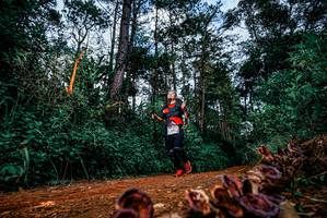 BIB: 
                            <button type="button" onclick="openModal(25881560)" class="btn btn-primary btn-sm float-right btn-popup" data-toggle="modal" data-target=".modal-high-quality">
                        <i class="fas fa-shopping-cart"></i> Add to Cart
                    </button>
                                            <button type="button" onclick="isThisMe(25881560, true)" class="btn btn-success btn-sm float-right btn-popup btn-isme hidden" data-toggle="tooltip" data-placement="bottom" title="นี่คือรูปของคุณใช่ไหม คลิกที่นี่เพื่อเอาเข้าอัลบั้ม">
                        <i class="fas fa-plus"></i> Add to album
                    </button>
                    <button type="button" onclick="isThisMe(25881560, false)" class="btn btn-warning btn-sm float-right btn-popup btn-isnotme hidden">
                        <i class="fas fa-ban"></i> Remove from album
                    </button>