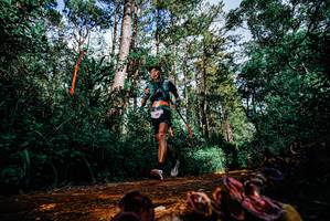 BIB: 
                            <button type="button" onclick="openModal(25880118)" class="btn btn-primary btn-sm float-right btn-popup" data-toggle="modal" data-target=".modal-high-quality">
                        <i class="fas fa-shopping-cart"></i> Add to Cart
                    </button>
                                            <button type="button" onclick="isThisMe(25880118, true)" class="btn btn-success btn-sm float-right btn-popup btn-isme hidden" data-toggle="tooltip" data-placement="bottom" title="นี่คือรูปของคุณใช่ไหม คลิกที่นี่เพื่อเอาเข้าอัลบั้ม">
                        <i class="fas fa-plus"></i> Add to album
                    </button>
                    <button type="button" onclick="isThisMe(25880118, false)" class="btn btn-warning btn-sm float-right btn-popup btn-isnotme hidden">
                        <i class="fas fa-ban"></i> Remove from album
                    </button>