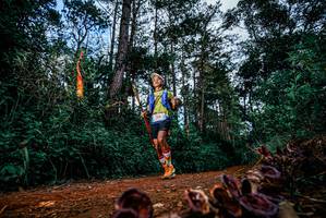 BIB: 
                            <button type="button" onclick="openModal(25881087)" class="btn btn-primary btn-sm float-right btn-popup" data-toggle="modal" data-target=".modal-high-quality">
                        <i class="fas fa-shopping-cart"></i> Add to Cart
                    </button>
                                            <button type="button" onclick="isThisMe(25881087, true)" class="btn btn-success btn-sm float-right btn-popup btn-isme hidden" data-toggle="tooltip" data-placement="bottom" title="นี่คือรูปของคุณใช่ไหม คลิกที่นี่เพื่อเอาเข้าอัลบั้ม">
                        <i class="fas fa-plus"></i> Add to album
                    </button>
                    <button type="button" onclick="isThisMe(25881087, false)" class="btn btn-warning btn-sm float-right btn-popup btn-isnotme hidden">
                        <i class="fas fa-ban"></i> Remove from album
                    </button>