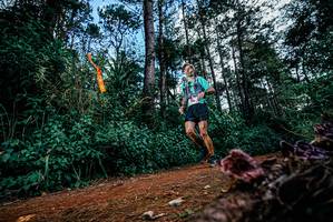 BIB: 
                            <button type="button" onclick="openModal(25878225)" class="btn btn-primary btn-sm float-right btn-popup" data-toggle="modal" data-target=".modal-high-quality">
                        <i class="fas fa-shopping-cart"></i> Add to Cart
                    </button>
                                            <button type="button" onclick="isThisMe(25878225, true)" class="btn btn-success btn-sm float-right btn-popup btn-isme hidden" data-toggle="tooltip" data-placement="bottom" title="นี่คือรูปของคุณใช่ไหม คลิกที่นี่เพื่อเอาเข้าอัลบั้ม">
                        <i class="fas fa-plus"></i> Add to album
                    </button>
                    <button type="button" onclick="isThisMe(25878225, false)" class="btn btn-warning btn-sm float-right btn-popup btn-isnotme hidden">
                        <i class="fas fa-ban"></i> Remove from album
                    </button>