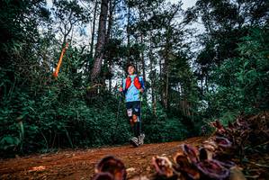 BIB: 
                            <button type="button" onclick="openModal(25881508)" class="btn btn-primary btn-sm float-right btn-popup" data-toggle="modal" data-target=".modal-high-quality">
                        <i class="fas fa-shopping-cart"></i> Add to Cart
                    </button>
                                            <button type="button" onclick="isThisMe(25881508, true)" class="btn btn-success btn-sm float-right btn-popup btn-isme hidden" data-toggle="tooltip" data-placement="bottom" title="นี่คือรูปของคุณใช่ไหม คลิกที่นี่เพื่อเอาเข้าอัลบั้ม">
                        <i class="fas fa-plus"></i> Add to album
                    </button>
                    <button type="button" onclick="isThisMe(25881508, false)" class="btn btn-warning btn-sm float-right btn-popup btn-isnotme hidden">
                        <i class="fas fa-ban"></i> Remove from album
                    </button>