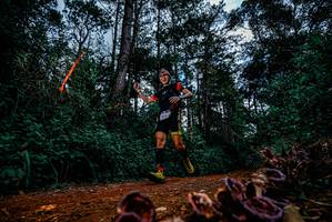 BIB: 
                            <button type="button" onclick="openModal(25880665)" class="btn btn-primary btn-sm float-right btn-popup" data-toggle="modal" data-target=".modal-high-quality">
                        <i class="fas fa-shopping-cart"></i> Add to Cart
                    </button>
                                            <button type="button" onclick="isThisMe(25880665, true)" class="btn btn-success btn-sm float-right btn-popup btn-isme hidden" data-toggle="tooltip" data-placement="bottom" title="นี่คือรูปของคุณใช่ไหม คลิกที่นี่เพื่อเอาเข้าอัลบั้ม">
                        <i class="fas fa-plus"></i> Add to album
                    </button>
                    <button type="button" onclick="isThisMe(25880665, false)" class="btn btn-warning btn-sm float-right btn-popup btn-isnotme hidden">
                        <i class="fas fa-ban"></i> Remove from album
                    </button>